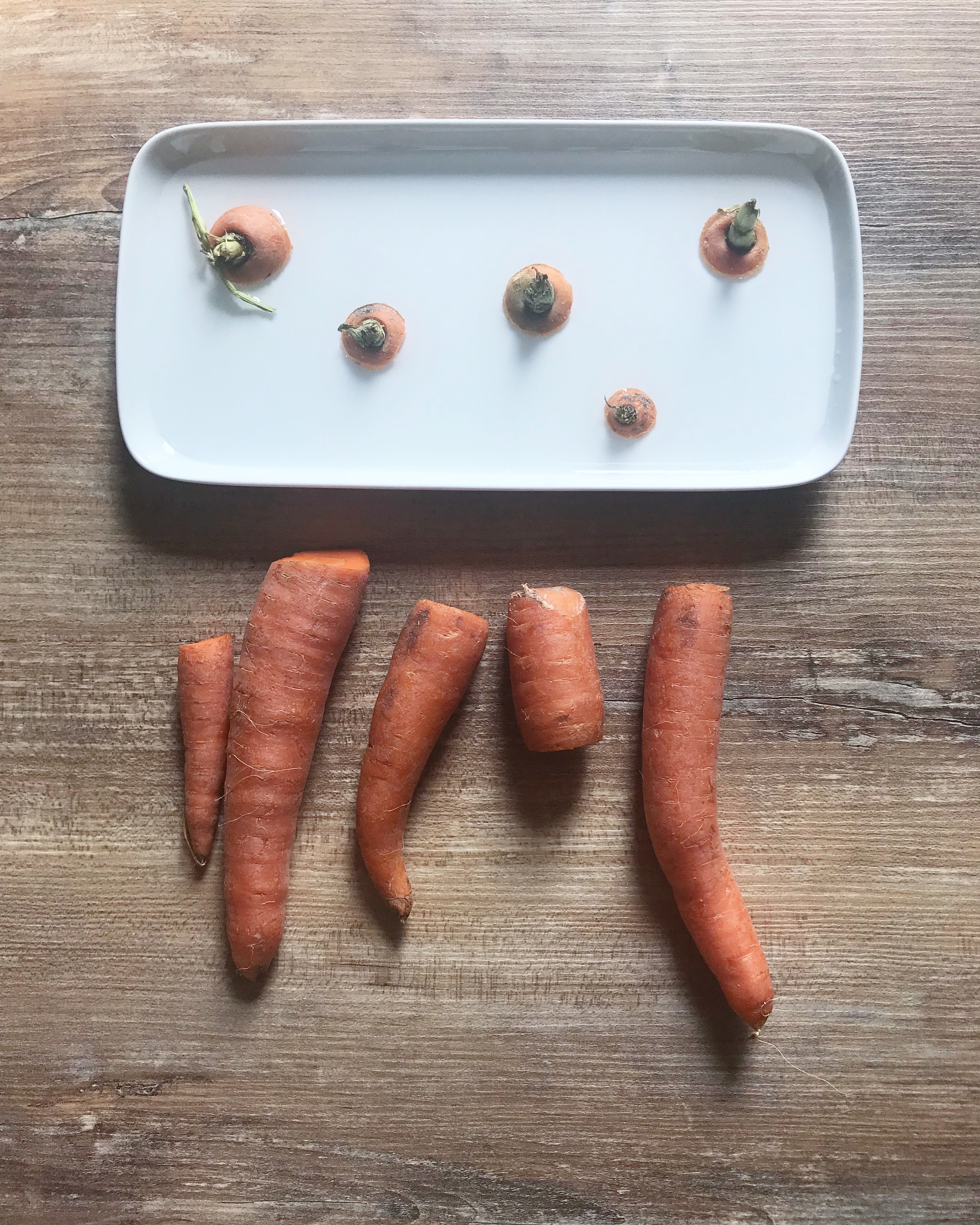 Je mange et je cultive #carotte