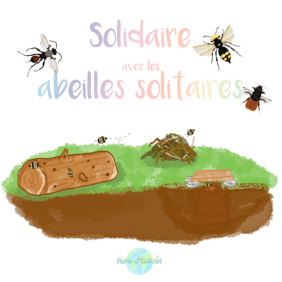 Solidaire avec les abeilles solitaires